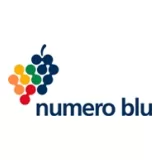 Numero Blu Servizi S.p.A. logo