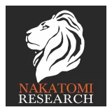 Nakatomi Research SL logo