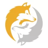 Wolf Insights Pvt Ltd. logo