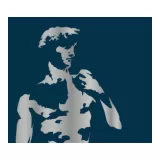 MAGNIFICO International Market Research logo