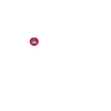 Market Surveys International logo