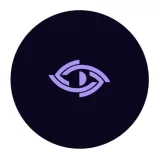 IBSAR Market Research logo