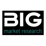 Business Intelligence Group logo