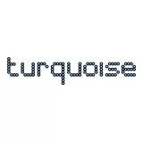 Turquoise Thinking Ltd logo